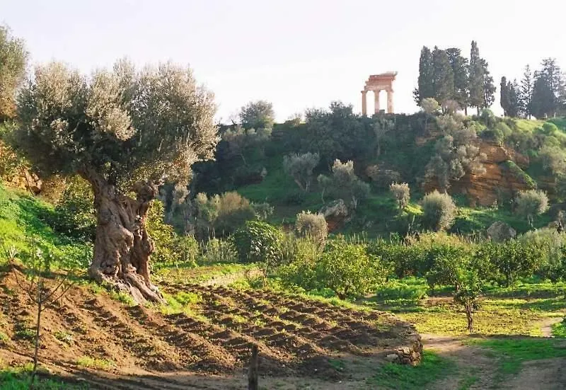 Dimora Dei Greci Apartamento Agrigento 0*,